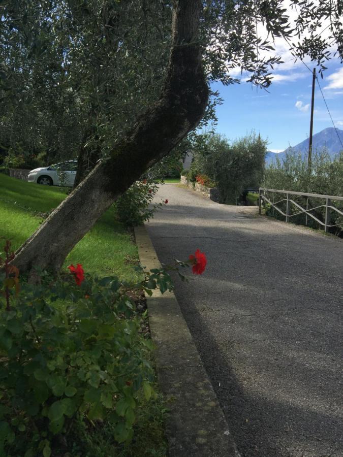 Appartamento Venzo Brenzone sul Garda Bagian luar foto